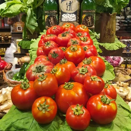 El Llar De Sofia Apartment